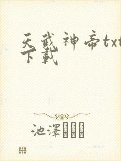天武神帝txt下载