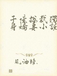 千亿总裁独宠替身娇妻小说完整