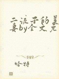 二流子的美貌娇妻by全文免费阅读小说