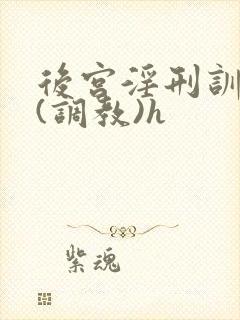 后宫淫刑训诫记(调教)h