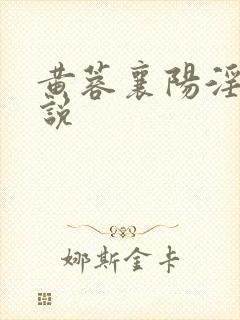 黄蓉襄阳淫史小说封面