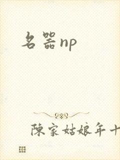名器np封面