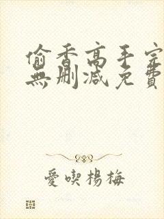 偷香高手完整版无删减免费封面