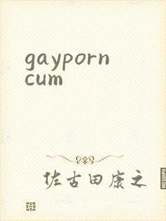 gayporncum封面