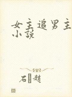 女主追男主古言小说