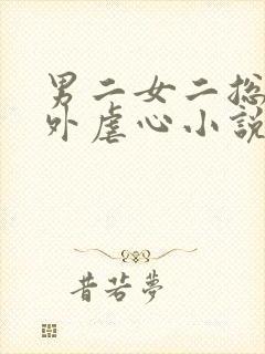 男二女二总裁番外虐心小说封面