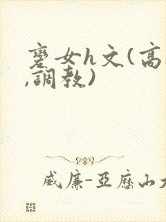 变女h文(高h,调教)