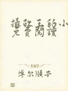 摄政王的小娇妃免费阅读