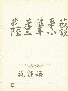 我老婆采薇养父陆三平小说txt封面