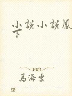 小说小说凤临天下
