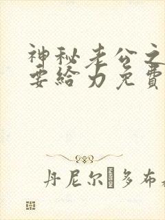 神秘老公之宠妻要给力免费阅读