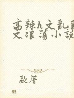 高辣h文乱乳h文浪荡小说封面