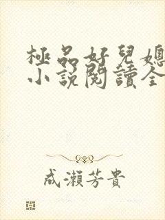 极品好儿媳苏媚小说阅读全文最新章