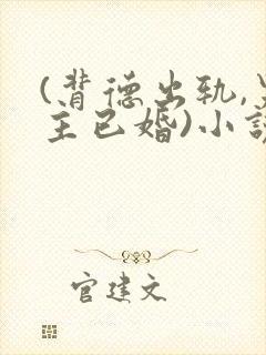 (背德出轨,男主已婚)小说