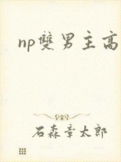 np双男主高h封面