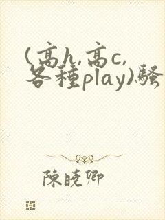 (高h,高c,各种play)骚话文
