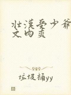 壮汉受少爷攻h文肉爽