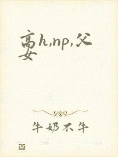 高h,np,父女