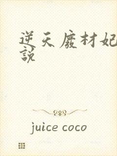 逆天废材妃 小说