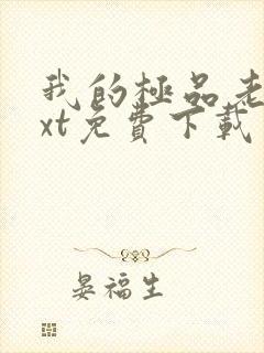 我的极品老婆txt免费下载