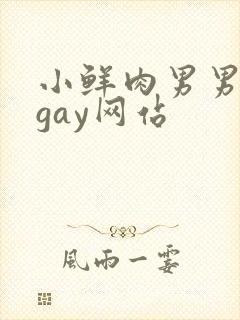 小鲜肉男男同性gay网站封面