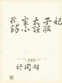 我家太子妃超凶的小说版