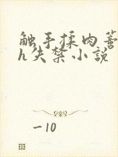 触手揉肉蒂高潮h失禁小说封面