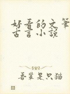 好看的文笔好的古言小说封面