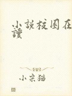 小说校园在线阅读