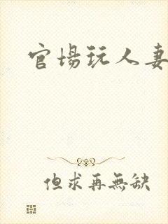 官场玩人妻小说封面