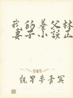 我的养父林叔和妻子小说正版阅读