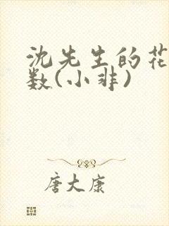 沈先生的花式调数(小非)封面