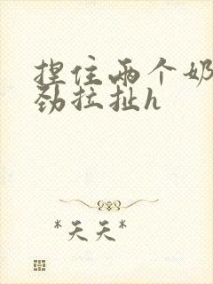 捏住两个奶头使劲拉扯h