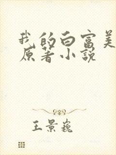 我的白富美老婆原著小说