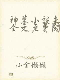 神墓小说未删版全文免费阅读