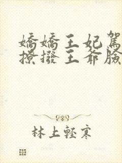 娇娇王妃驾到,撩拨王爷脸红心跳演员