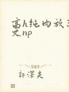 高h纯肉放荡h文np