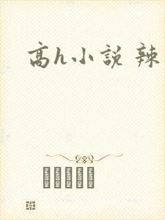 高h小说 辣文封面