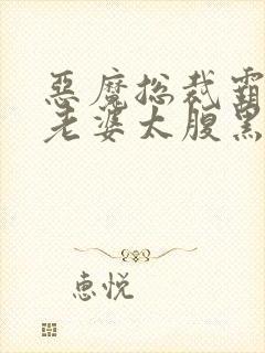 恶魔总裁霸道宠老婆太腹黑