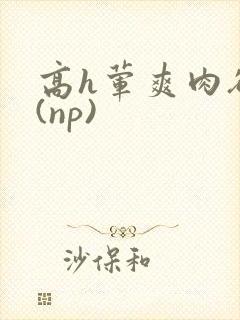 高h荤爽肉欲文(np)封面