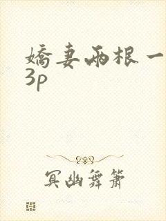 娇妻两根一起进3p封面