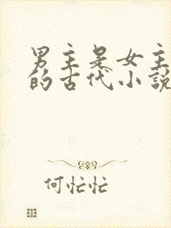 男主是女主护卫的古代小说