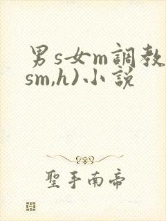 男s女m调教(sm,h)小说