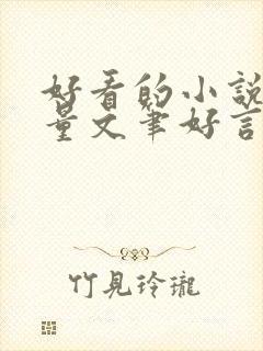 好看的小说高质量文笔好言情