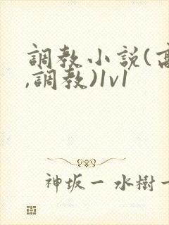 调教小说(高h,调教)1v1