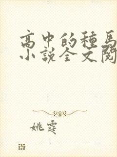 高中的种马校草小说全文阅读封面