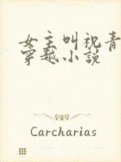 女主叫祝青苑的穿越小说