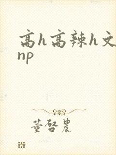 高h高辣h文乱np