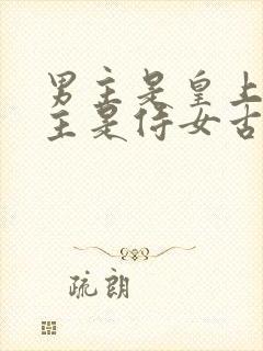 男主是皇上 女主是侍女古言