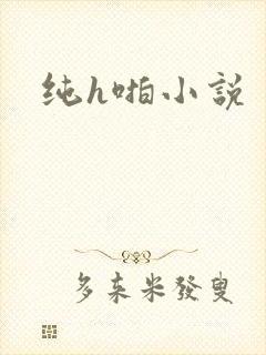 纯h啪小说